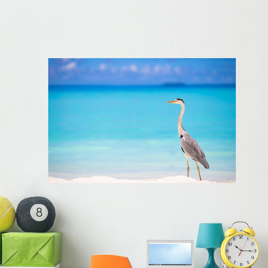 Grey heron standing on white beach on Maldives island Wall Mural
