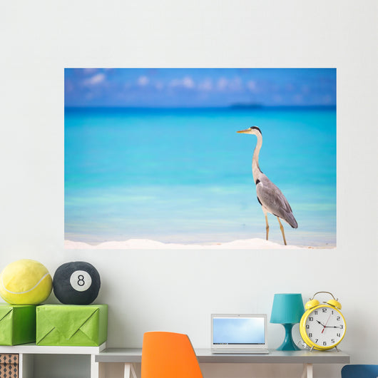 Grey heron standing on white beach on Maldives island Wall Mural