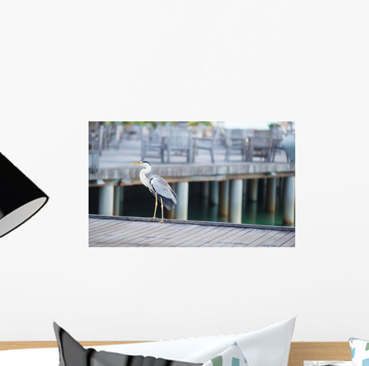 Grey heron standing on white beach on Maldives island Wall Mural