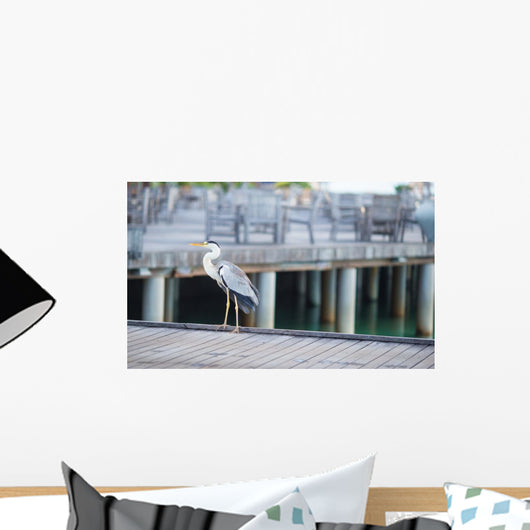 Grey heron standing on white beach on Maldives island Wall Mural