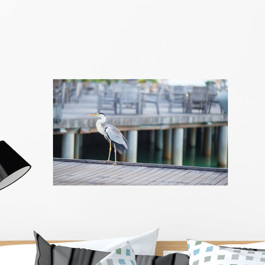Grey heron standing on white beach on Maldives island Wall Mural