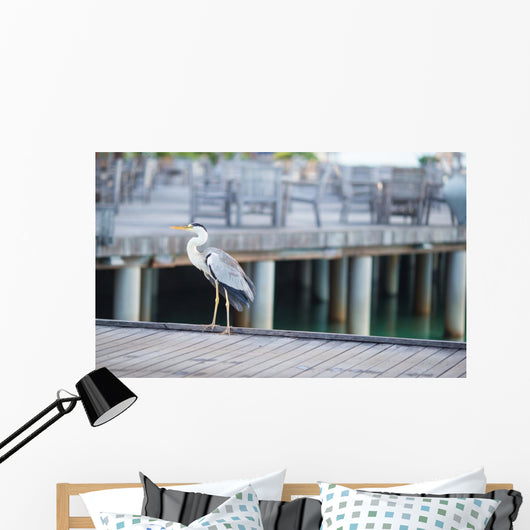 Grey heron standing on white beach on Maldives island Wall Mural