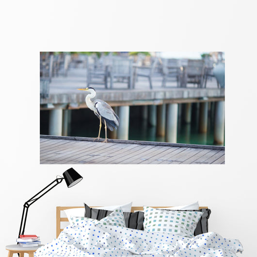 Grey heron standing on white beach on Maldives island Wall Mural