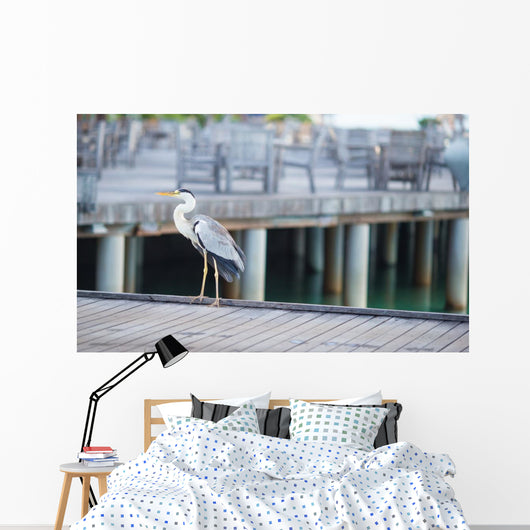 Grey heron standing on white beach on Maldives island Wall Mural