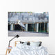 Grey heron standing on white beach on Maldives island Wall Mural
