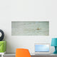 Baby shark in shallow water at Maldives Wall Mural