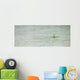 Baby shark in shallow water at Maldives Wall Mural