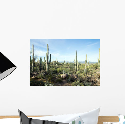 Landscapes Saguaro National Park Wall Decal