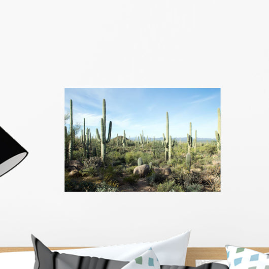 Landscapes Saguaro National Park Wall Decal