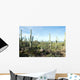 Landscapes Saguaro National Park Wall Decal