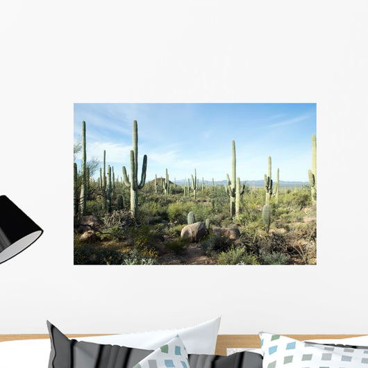 Landscapes Saguaro National Park Wall Decal