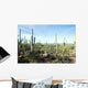 Landscapes Saguaro National Park Wall Decal