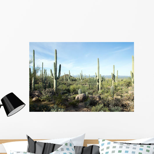 Landscapes Saguaro National Park Wall Decal