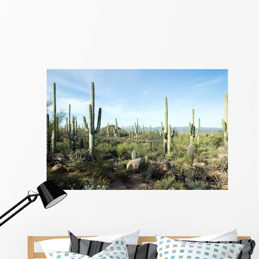 Landscapes Saguaro National Park Wall Decal