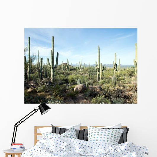 Landscapes Saguaro National Park Wall Decal