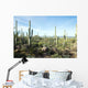 Landscapes Saguaro National Park Wall Decal