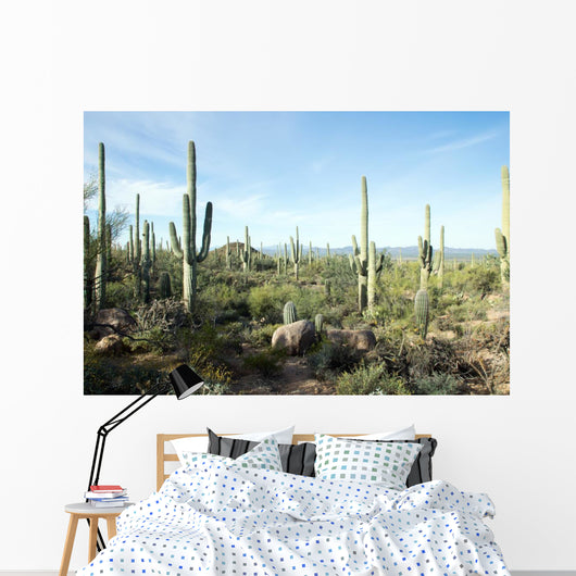 Landscapes Saguaro National Park Wall Decal