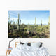 Landscapes Saguaro National Park Wall Decal