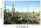 Landscapes Saguaro National Park Wall Decal