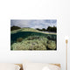 Corals Shallow Water Wall Decal