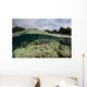 Corals Shallow Water Wall Decal