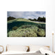 Corals Shallow Water Wall Decal