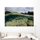 Corals Shallow Water Wall Decal