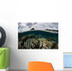 Healthy Reef Shallows Wall Decal