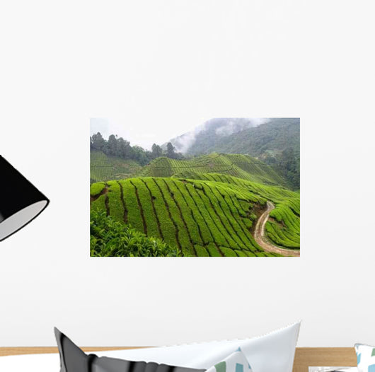 Tea Field Mountain with Wall Decal