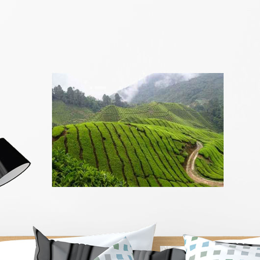 Tea Field Mountain with Wall Decal
