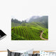 Tea Field Mountain with Wall Decal