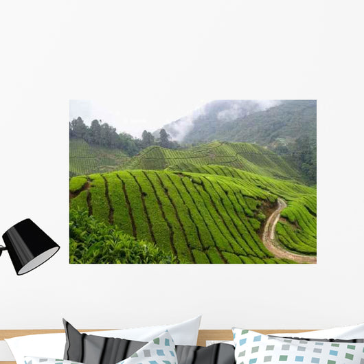 Tea Field Mountain with Wall Decal