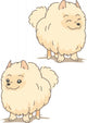 Dog Pomeranian Wall Stickers Wall Decal