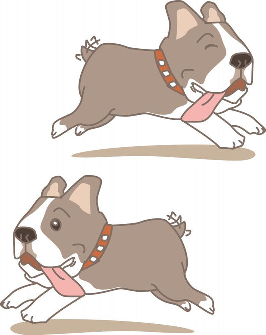 Dog French Bulldog Wall Stickers Wall Decal