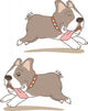 Dog French Bulldog Wall Stickers Wall Decal