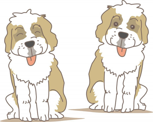 Dog Saint Bernard Wall Stickers Wall Decal