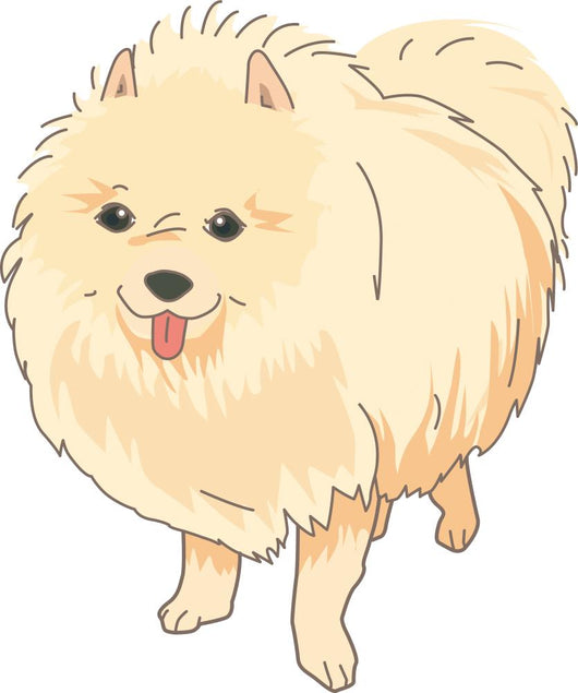 Dog Pomeranian Wall Decal