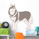 Dog Siberian Husky Wall Decal