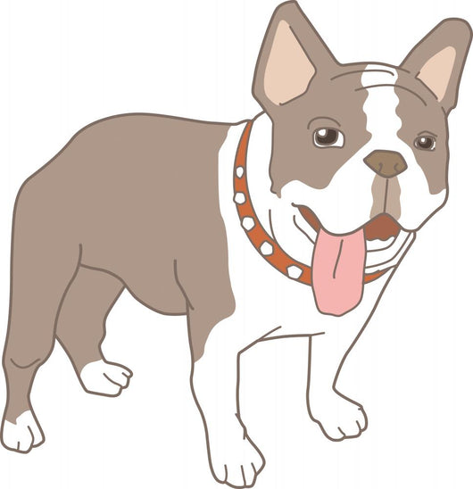Dog French Bulldog Real Wall Decal
