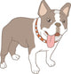 Dog French Bulldog Real Wall Decal