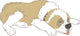 Dog Saint Bernard Real Wall Decal