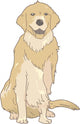 Dog Golden Retriever Real Wall Decal