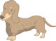 Dog Dachshund Real Wall Decal