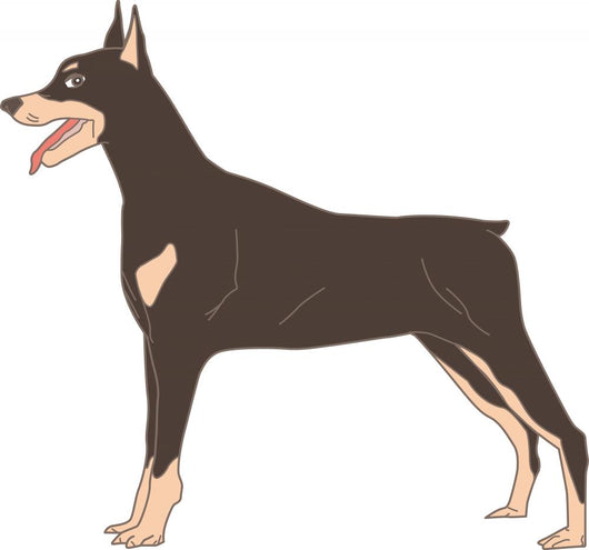 Dog Doberman Pinscher Real Wall Decal