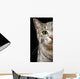 Green Cat Eyes Wall Decal