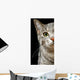 Green Cat Eyes Wall Decal