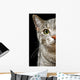 Green Cat Eyes Wall Decal