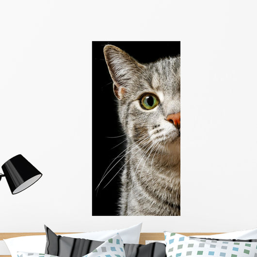 Green Cat Eyes Wall Decal