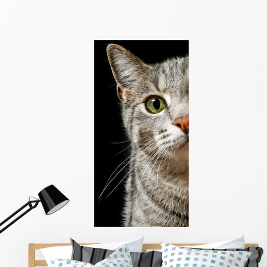 Green Cat Eyes Wall Decal