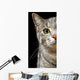 Green Cat Eyes Wall Decal